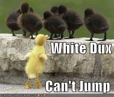 [white-ducks-cannot-jump.jpg]