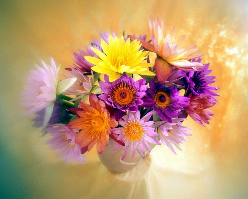 [bunch_of_flowers-1280.jpg]