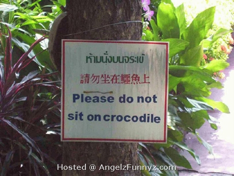 [Do+Not+Sit+On+Crocodile.jpg]