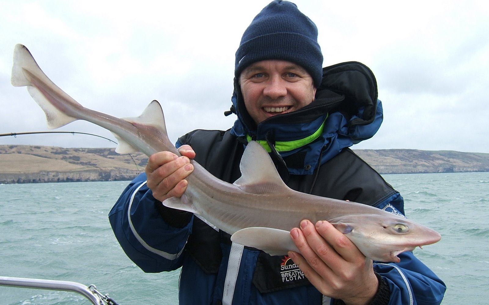 [Mike+Cooke+Common+Smoothhound+Silver+Spray+16+March+2008.jpg]