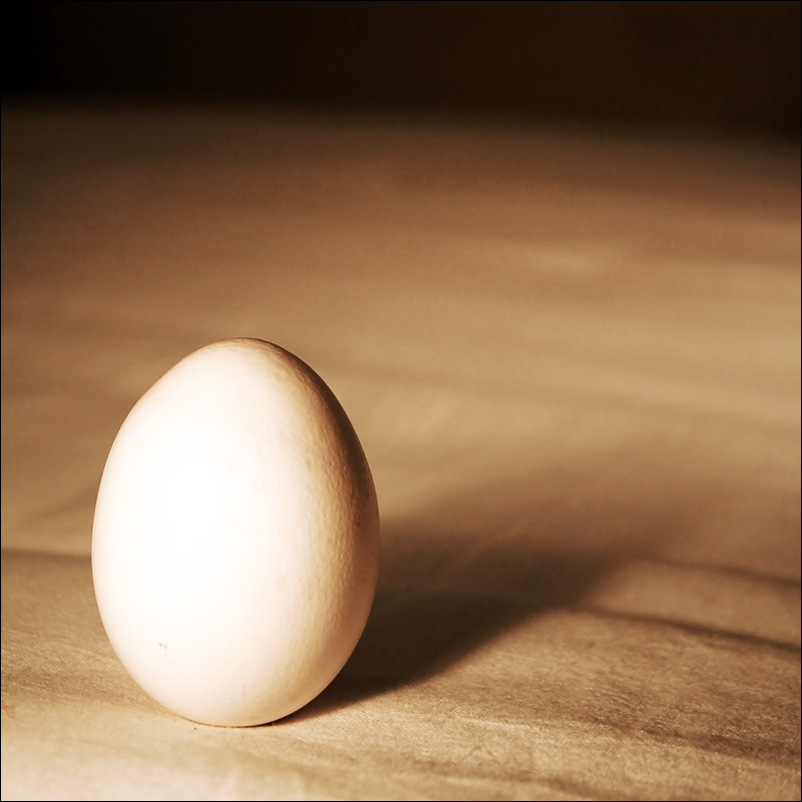 [egg_by_cove.png]