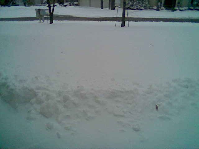 [snow+in+front+yard.jpg]
