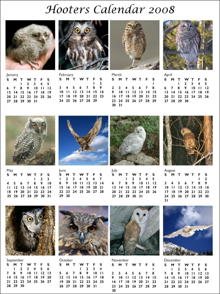 [Hooters+Calendar.jpg]
