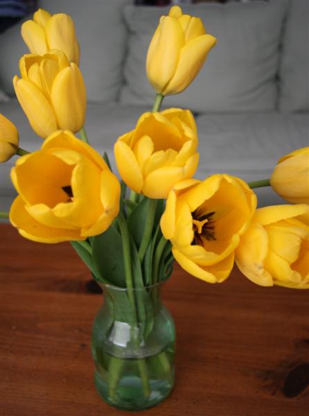 [tulips+from+Cory.JPG]