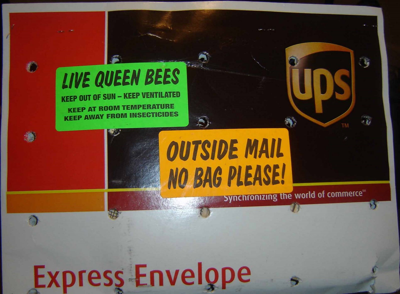 [queen+shipment.jpg]
