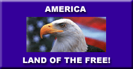 [eagle+on+flag+background+America+Land+of+the+Free.gif]