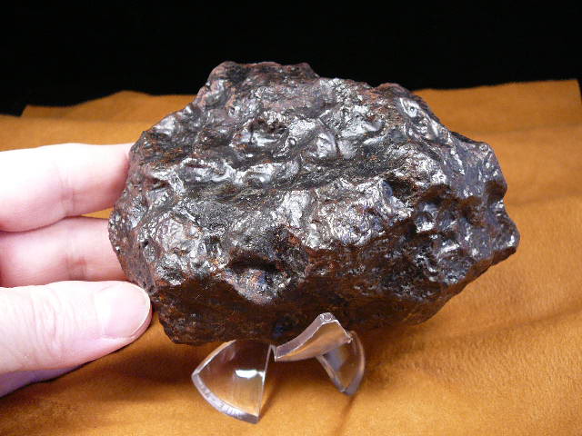 [thaifossil+meteorite1.jpg]