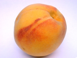 [peach.jpg]