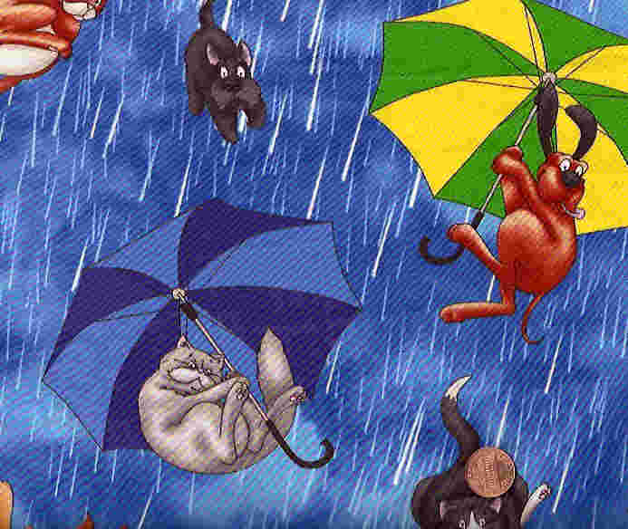 [Raining+Cats+and+dogs+B0610310.jpg]