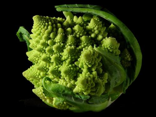 [fractal_broccoli.jpg]