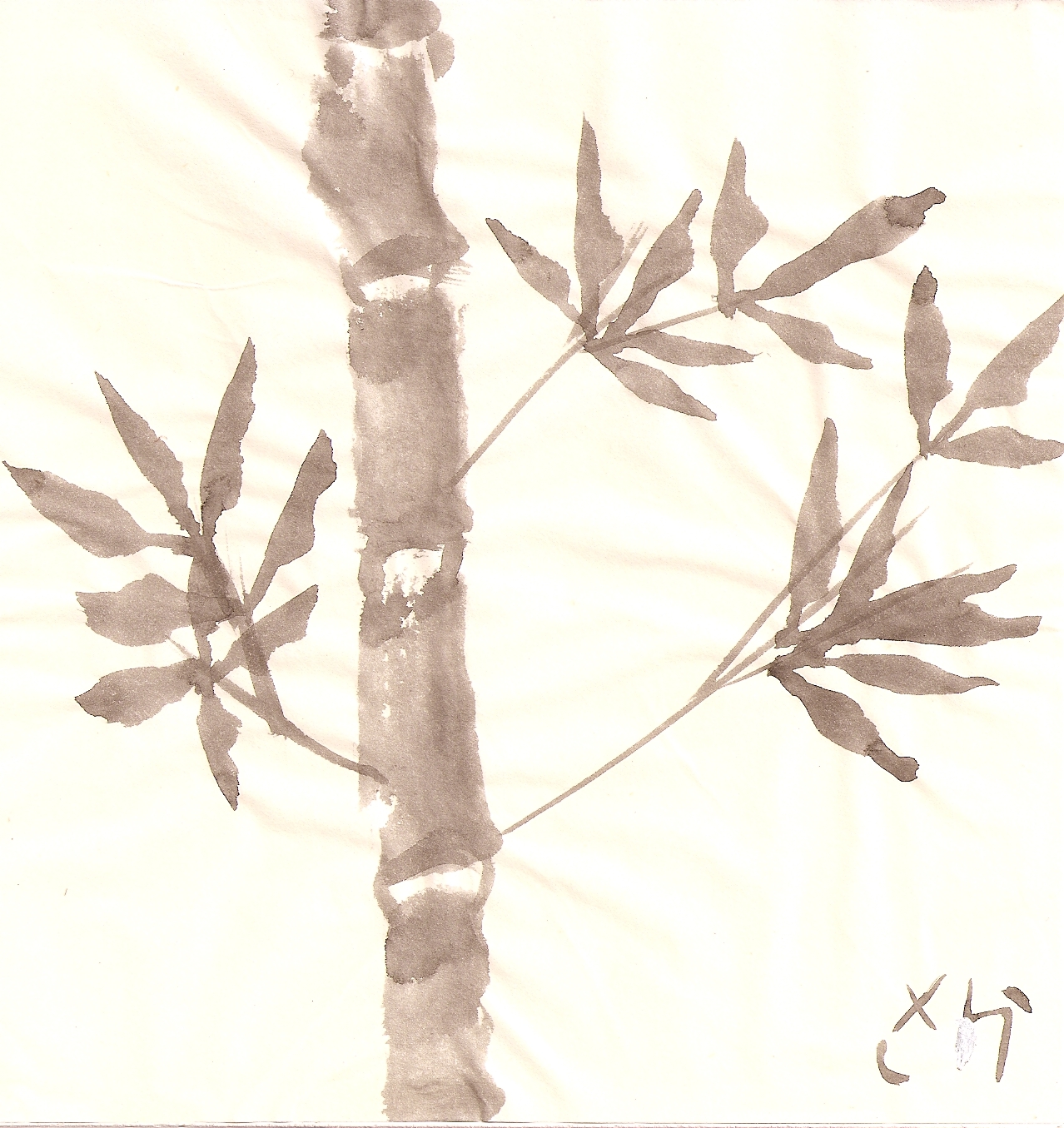[bamboo2.jpg]