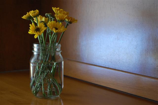 [yellow+flowers+on+the+hutch+3.jpg]