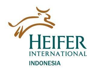 [logo+heifer.jpg]