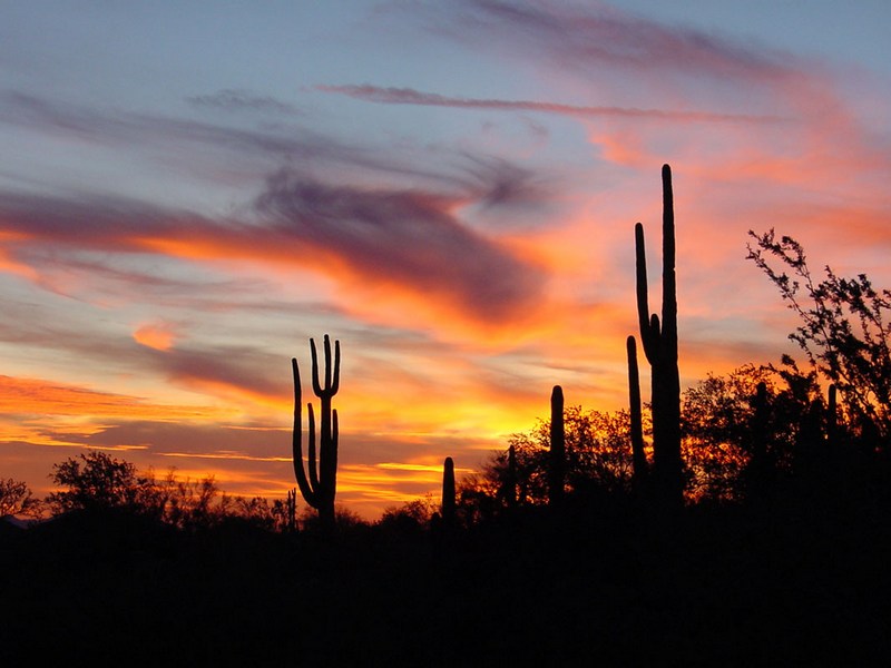 [Arizona+Sunset.jpg]