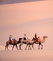 [camel-trek-gobi.jpg]