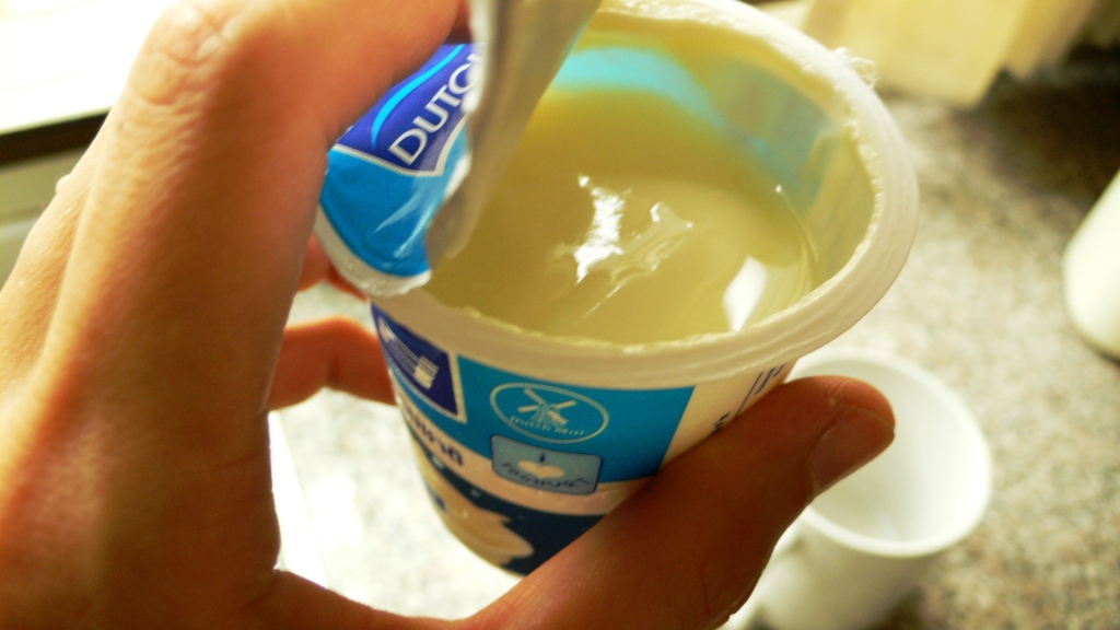 [yogurt1.JPG]