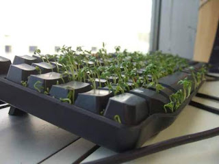 Garden+Keyboard Plant Keyboard!!