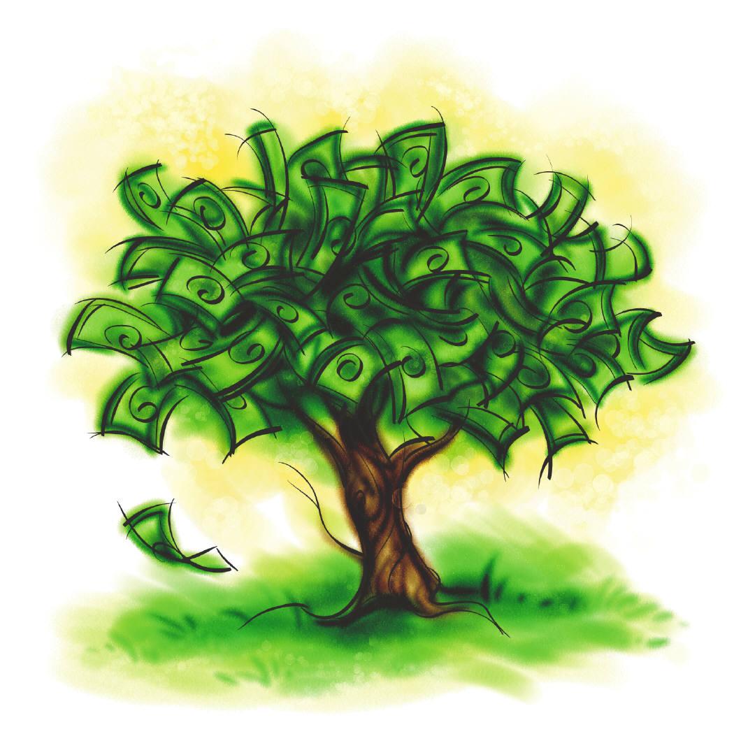 [money_on_trees_copy1.jpg]