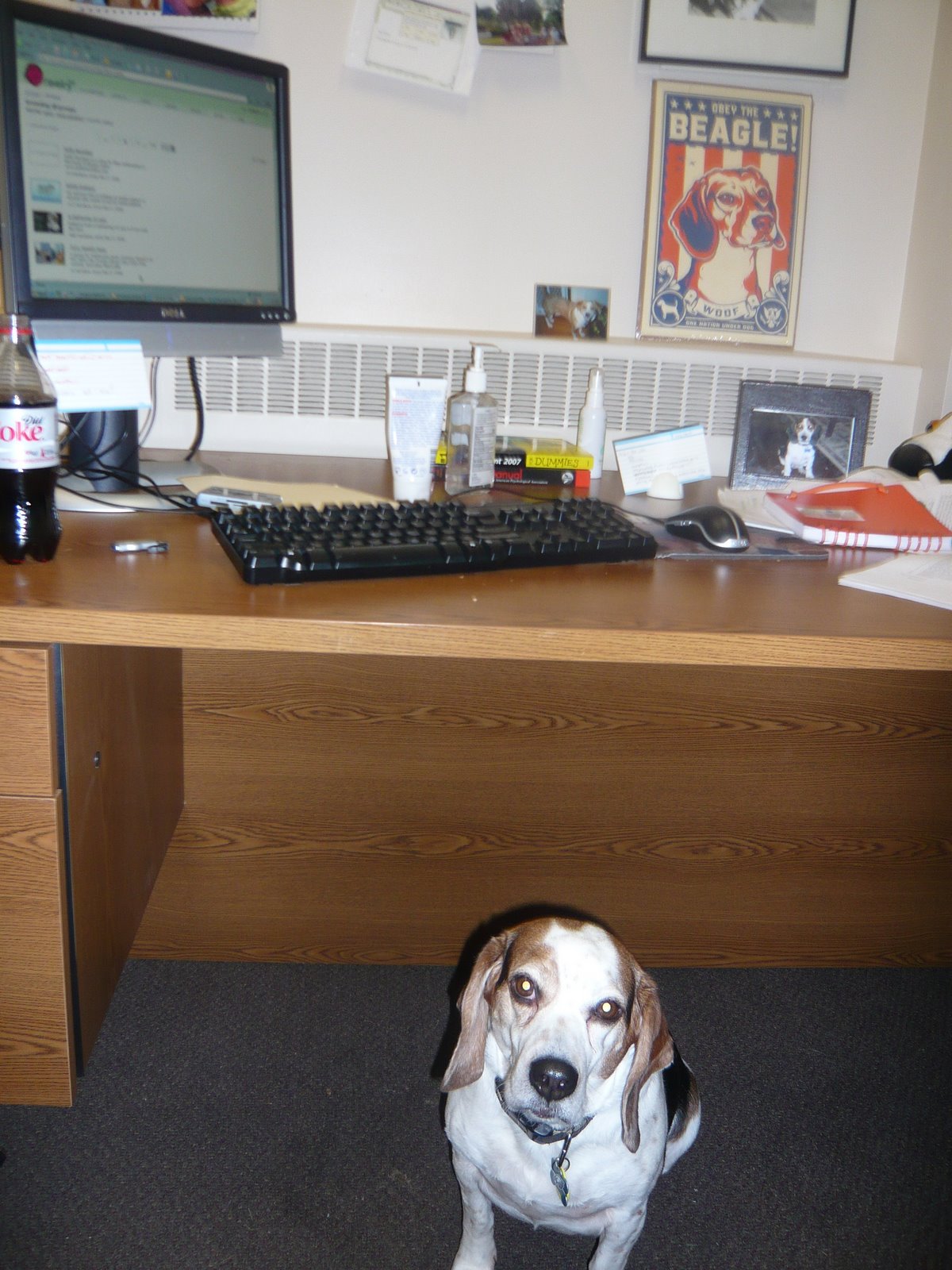 [gus+visits+the+office+finn+visits+the+dinig+room+table+001.jpg]