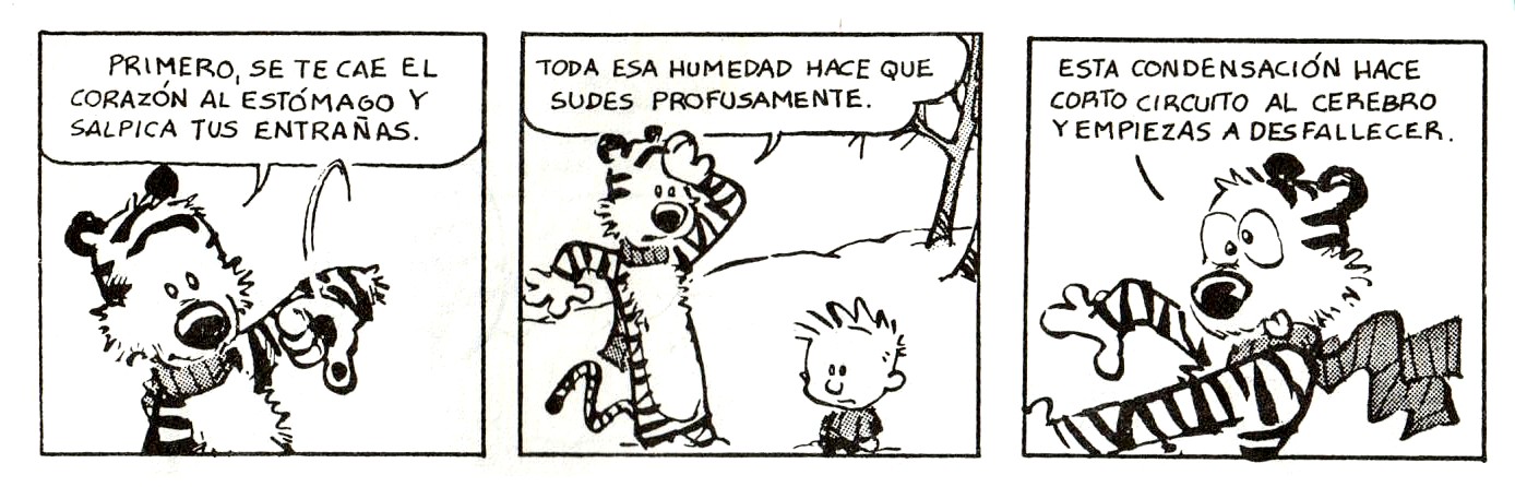 [Calvin+&+Hobbes7.jpg]