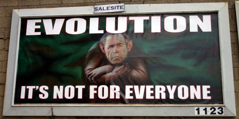 [billboard_Evolution.jpg]