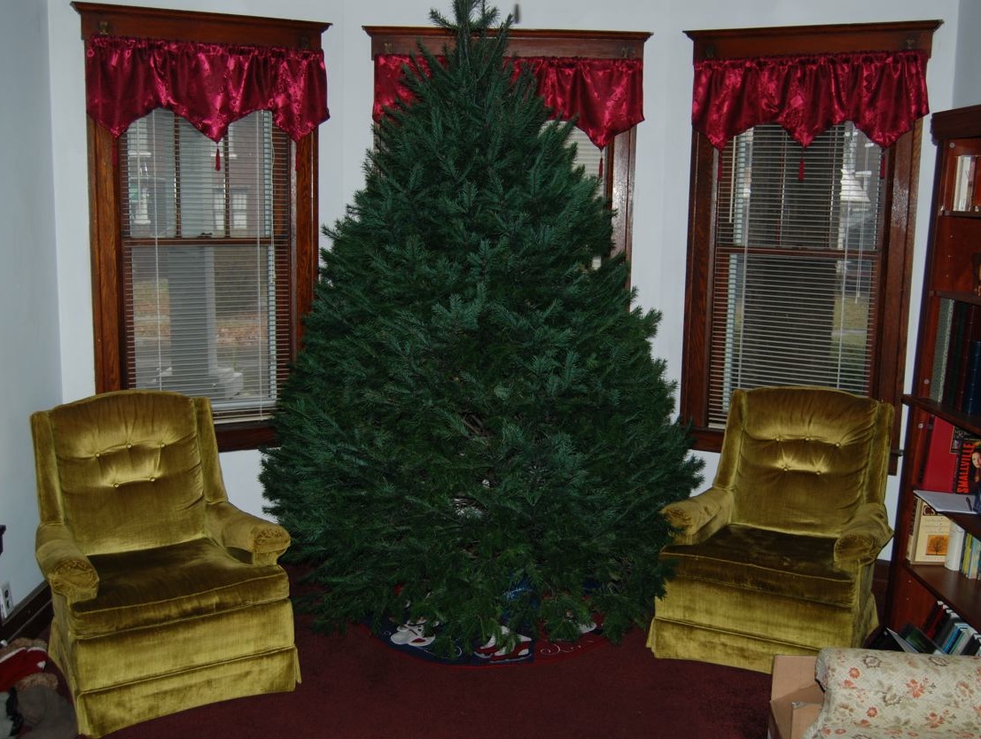 [christmas+tree.jpg]