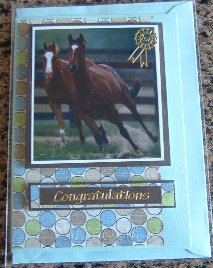 [MX.Horse+Congrats.jpg]