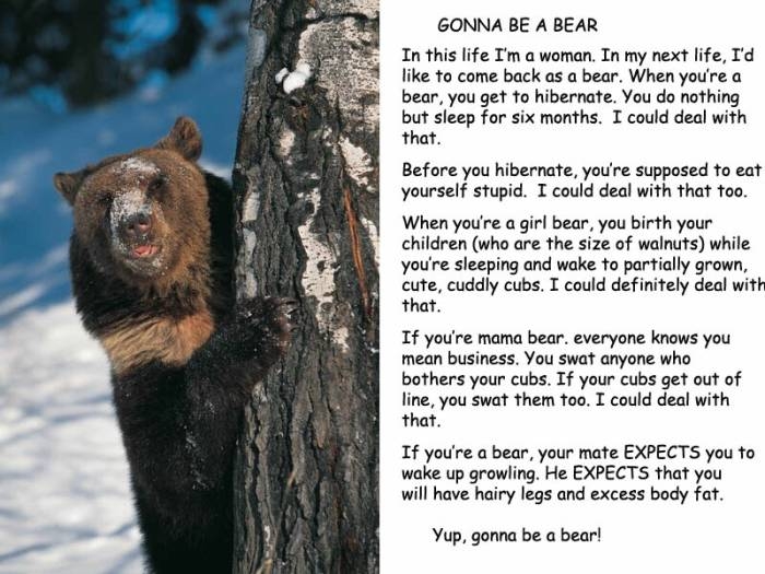[Gonna+Be+A+Bear.JPG]