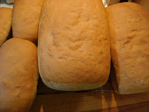 [2008-06-06-loaves.jpg]
