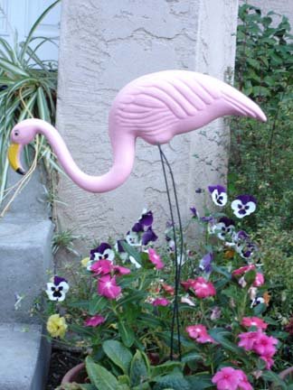 [flamingoes3.jpg]