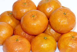[Mandarin+Oranges.jpg]