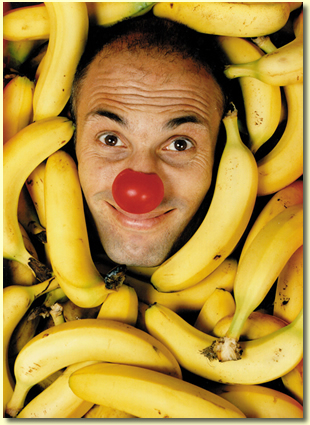 [Banana-show300.jpg]