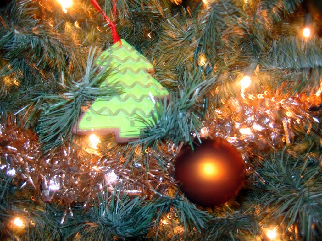 [20061207+O+Christmas+Tree+019+(Large).jpg]