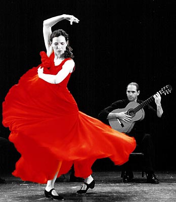 [flamenco03.jpg]