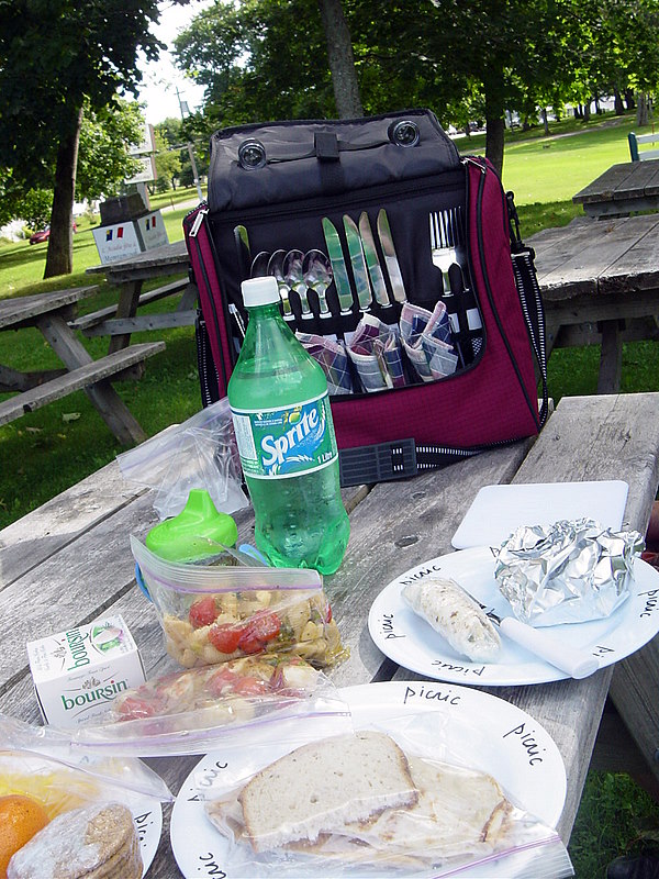 [picnic.JPG]