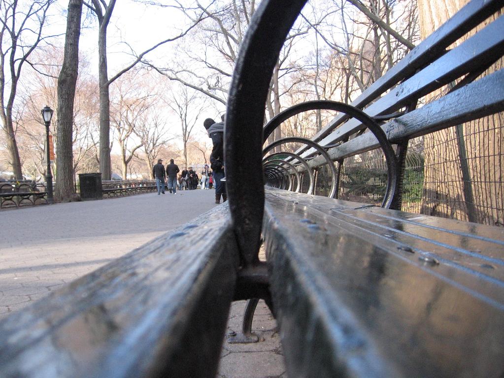 [Central+Park+Benches+0-1.JPG]