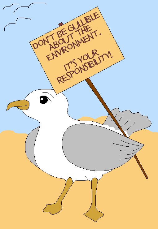 [seagull.bmp]