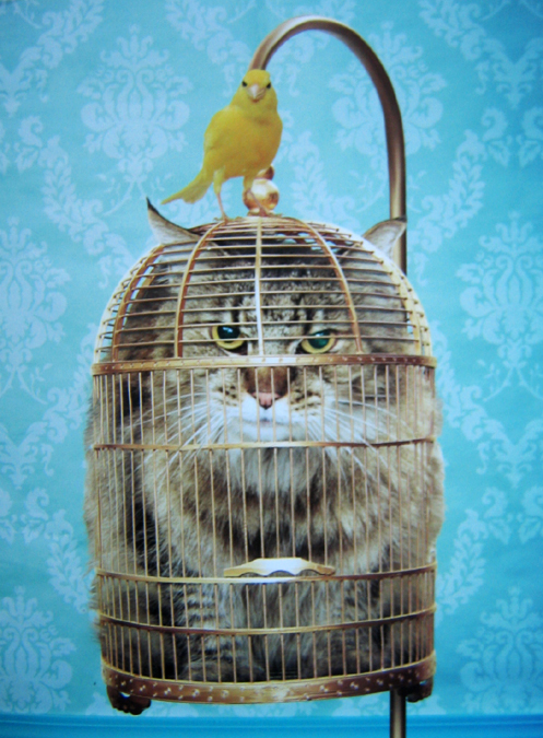 [bird+cage.jpg]