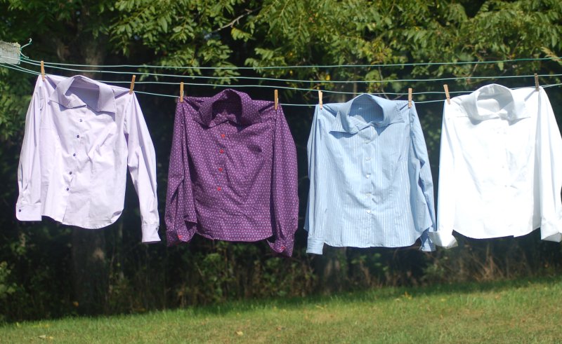 Four ladies' shirts on my clothesline