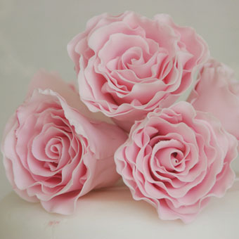 [pink-roses.jpg]