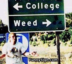 [funny-signs-weed.jpg]