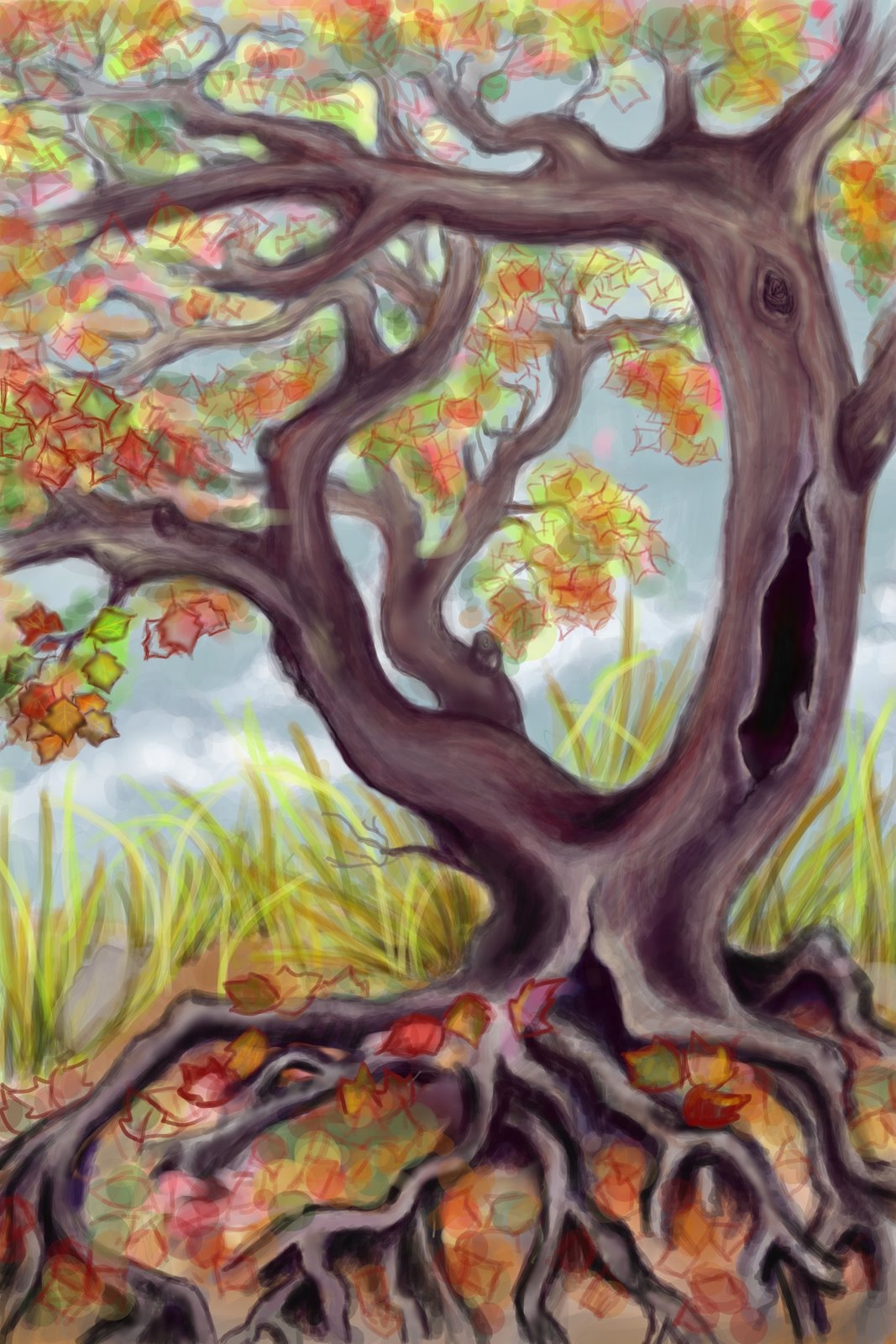 [fall+color+tree.jpg]