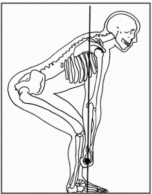 [Picture1+deadlift+skeleton+view[1].PNG]