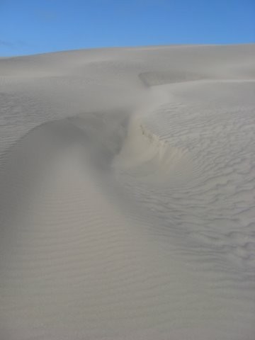 [Dune.jpg]