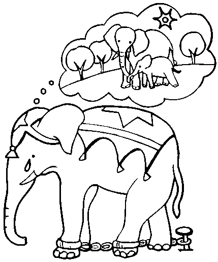 [elefante_capa.gif]