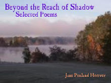 Beyond the Reach of Shadow