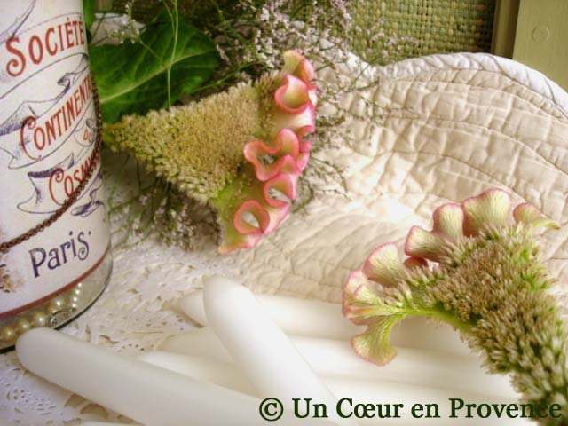 [2'+Le+bocal+Pompadour+-+Un+Cœur+en+Provence+.jpg]