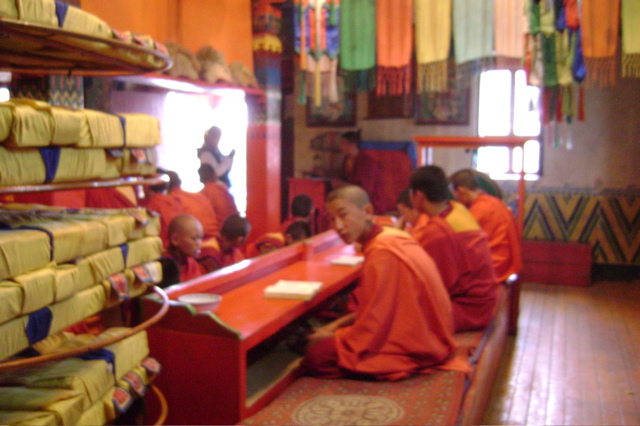 [young+monks+at+prayer.jpg]