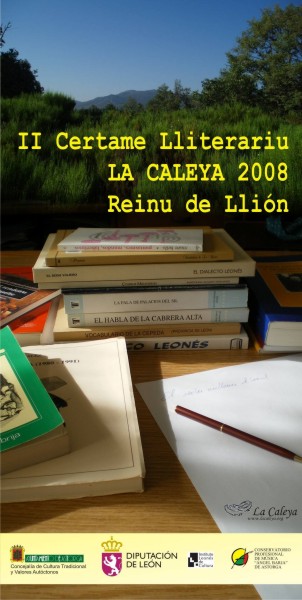 [Certamen+La+Caleya2008+br.JPG]