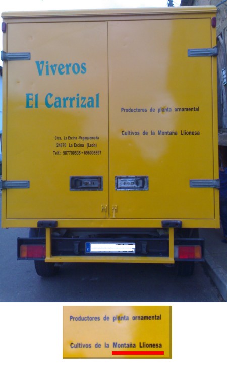 [Camión+El+Carrizal.jpg]
